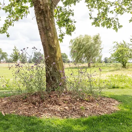 Het Eycken Huys Bed & Breakfast 3*
